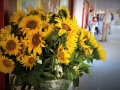 IMG_4080 (2)