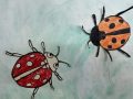 IMG_0486-scaled